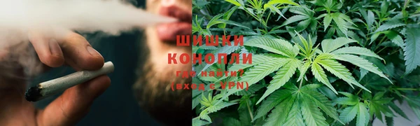 ПСИЛОЦИБИНОВЫЕ ГРИБЫ Алзамай