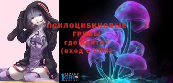 прущий лед Алексин