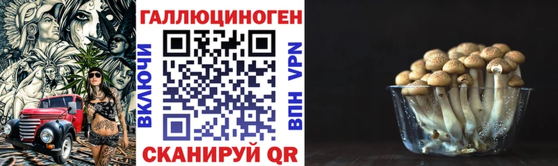 Галлюциногенные грибы Psilocybe  Медынь 